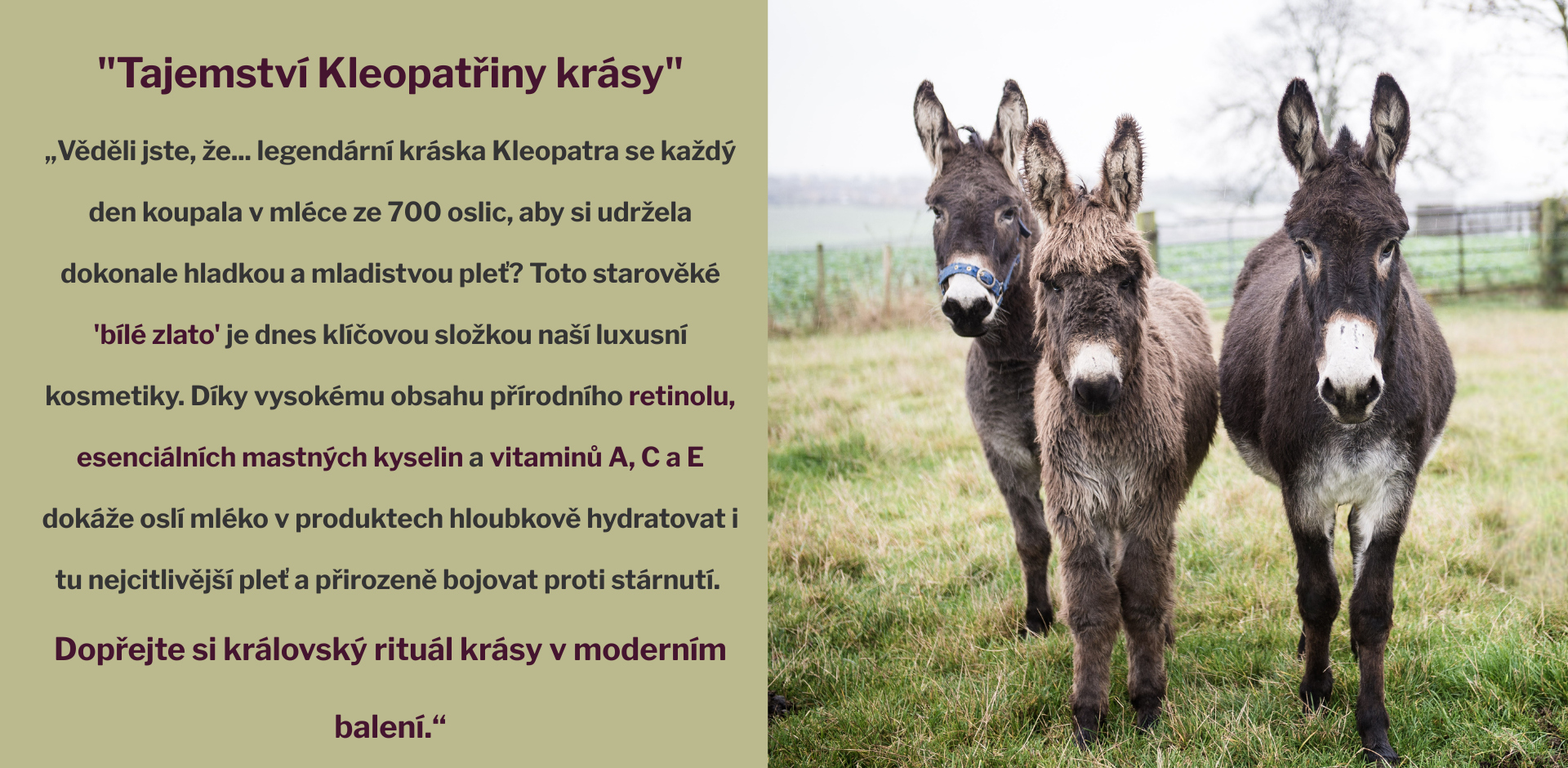 Věděli jste, že... krétský olivový olej je díky unikátnímu mikroklimatu ostrova považován za jeden z nejkvalitnějších na světě Místní ho nazývají tekutým zlatem pro dlouhověkost, protože díky ko (1)